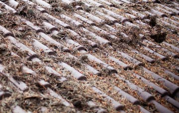 Morchard Road roof cleaning companies